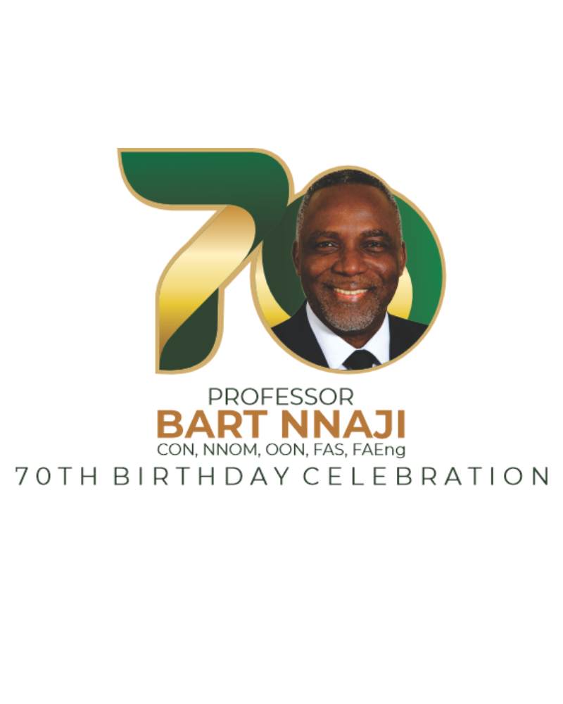 Professor Bart Nnaji